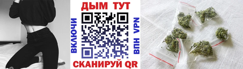Каннабис конопля  Кяхта 